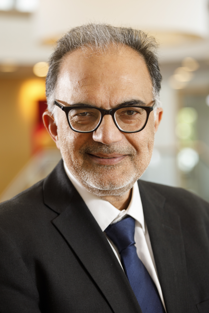 Professor Ravi Mahajan